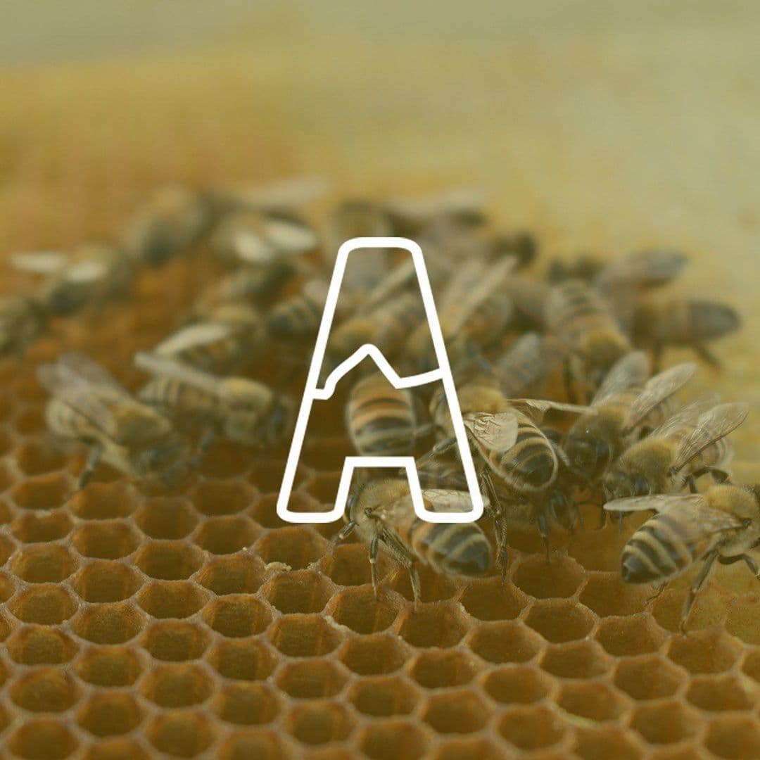 Alvand Honey