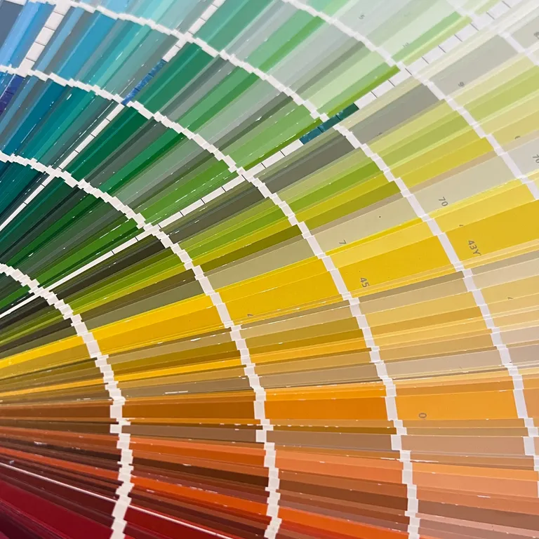 طراحی پالت رنگی برندینگ